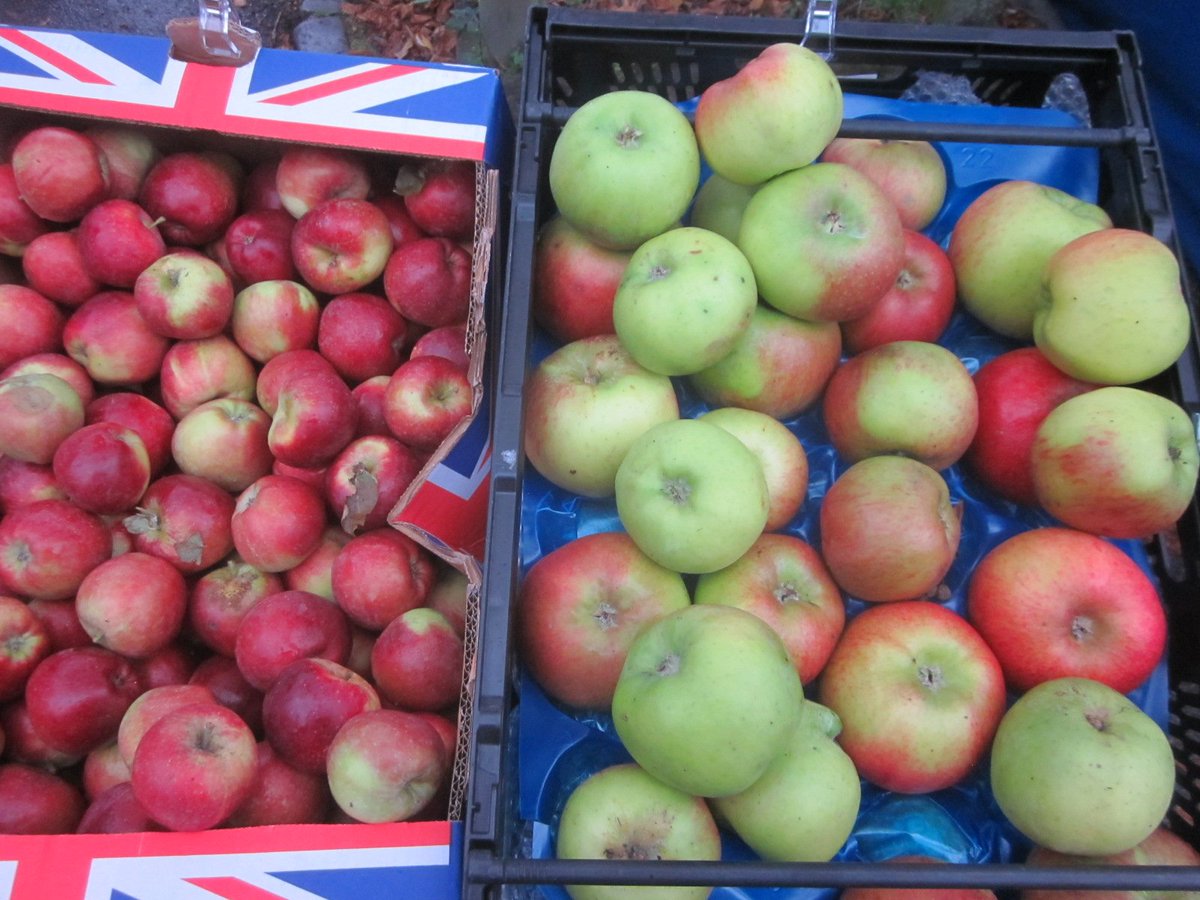 MheadFarmersMkt's tweet photo. Great selection of apples &amp; pears from @HaylesFruitFarm  this Sunday! Also single variety juices &amp; ciders. Nothing more healthy and supporting UK growers too!🍏🍎🍐@MakeMaidenhead @MheadBRotary @FeedingTimeBlog  @LoveBritishFood @FamilyFriendsWM @MaidenheadFRNDS @EnjoyMaidenhead https://t.co/QIUfQQOGc8
