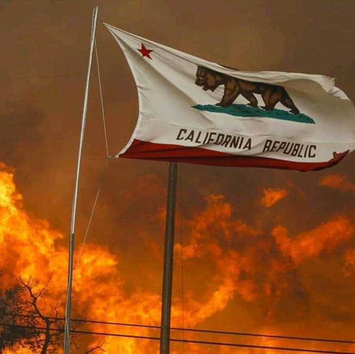 fffitalia's tweet photo. 🔥️LA CALIFORNIA BRUCIA🔥
 Scarse precipitazioni, estremi livelli di #siccità e sempre più intenso ciclo di venti autunnali: il risultato sono migliaia di famiglie sfollate, oltre a danni economici devastanti
@sole24ore: https://t.co/hfvLT4wuOQ
@guardian: https://t.co/oAmj0dftpl https://t.co/aObwAFiMFh