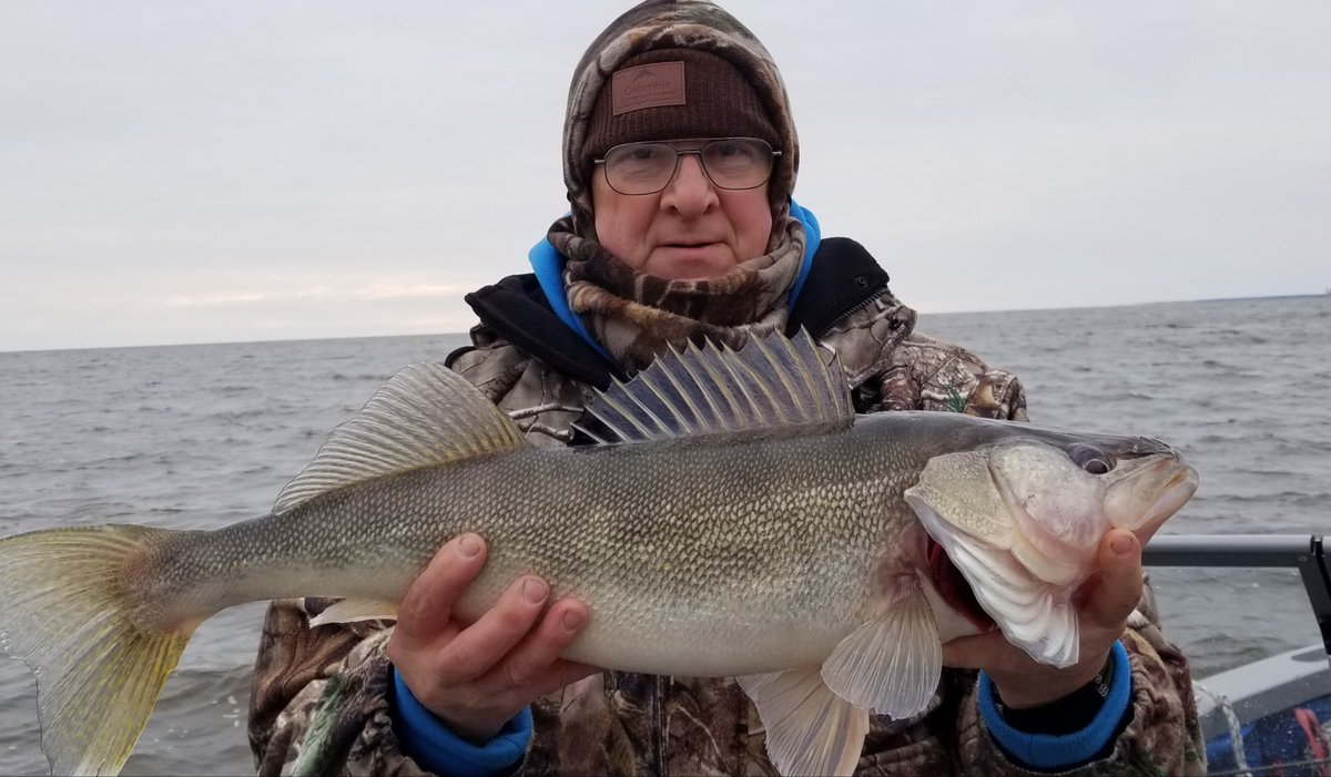 CurtQuesnell's tweet photo. Last day of boat fishing Sunday. We got rain on, snowed, wind blown and caught a few like this...
#lakeofthewoodsfallfishing
#cleandrainanddry
#NCORGuideService https://t.co/GLEShYbQSi