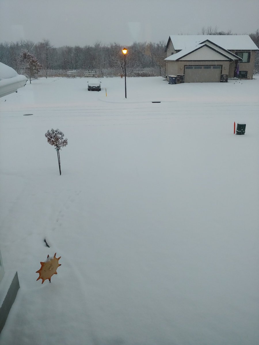 FlomNicole's tweet photo. Winter wonderland in Kenyon #kare11 https://t.co/ehCEj42lRI