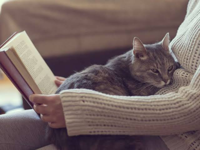 AshikaNayan's tweet photo. https://t.co/atd54R8D4m
Cat lovers, this is how a feline friend can boost your health #VeterinaryEpidemiology #CamelScience #Animalwelfare #VeterinaryToxicology #VeterinarySurgery #VeterinaryRadiology #VeterinaryMicrobiology #PetHealth #AnimalCompanies #DomesticAnimals #Cattle https://t.co/Qp3sBVKAIb