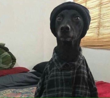 After lunch we stayed back at the restaurant around her house gisting about the whole sad scenario and I was going to give her reasons why the guy doesn't deserve her when jide walked in with two guys....