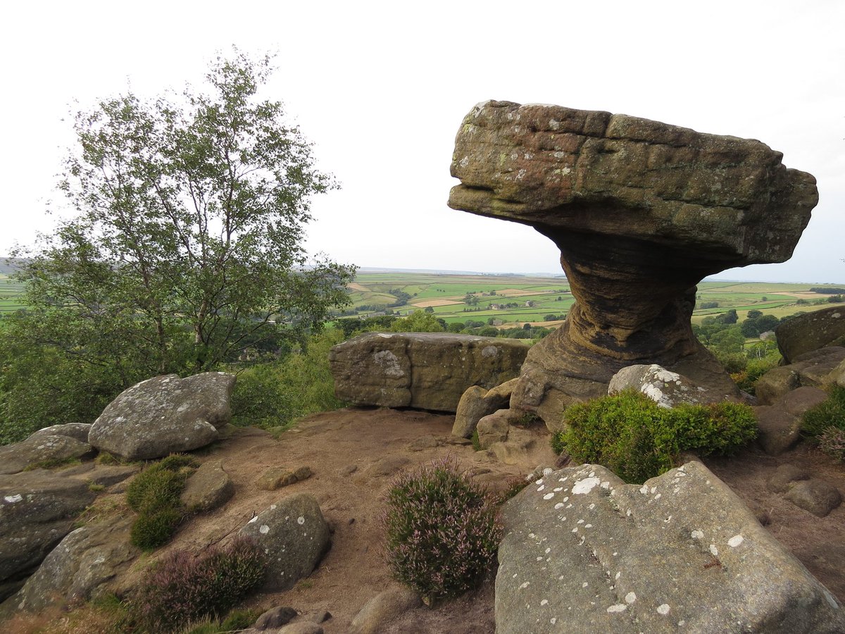 Lovely to see #Nidderdale and #PateleyBridge in the new @countrywalking mag. 

Best bit? You can access my #BrimhamRocks public-transport-friendly route for free this month!

bit.ly/34BCleU

@VisitNidderdale @NidderdaleAONB