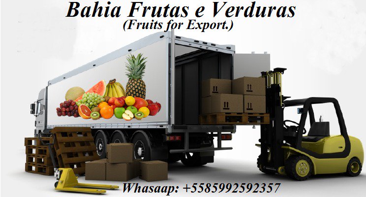 Fruits for Export.

We send Fruits to various parts of the world.

Does your company need to buy Fruits? Talk to us, we have the best prices and the best team in the market.

Whatsaap: +5585992592357