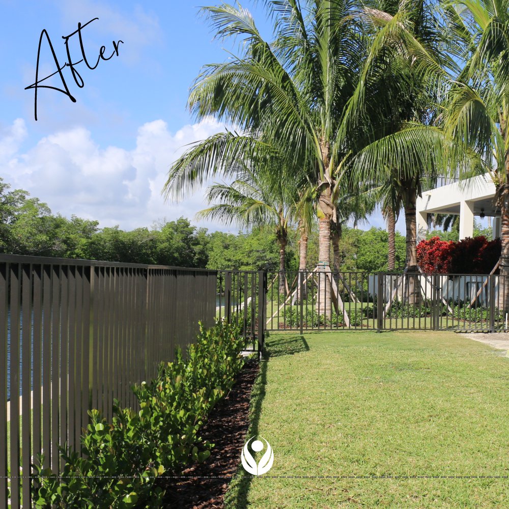 greenwalls305's tweet photo. En las imágenes de nuestros #Antesdespués usted podrá comprobar de lo que somos capaces de lograr con toda nuestra #experiencia, #trabajo y #dedicación.
Contáctenos y obtenga nuestro asesoramiento
https://t.co/6XgRbgKhp9   @greenwalls305 📲 +1 305.803.6480

#green #greenwalls https://t.co/GDy8ULjlff