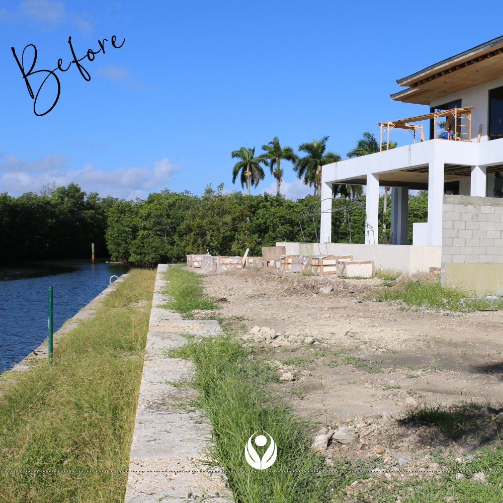 En las imágenes de nuestros #Antesdespués usted podrá comprobar de lo que somos capaces de lograr con toda nuestra #experiencia, #trabajo y #dedicación.
Contáctenos y obtenga nuestro asesoramiento
greenwalls305.com   <a href="/greenwalls305/">Greenwalls305</a> 📲 +1 305.803.6480

#green #greenwalls