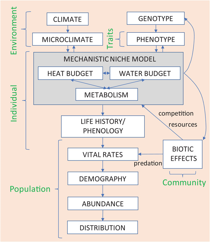 EcographyJourna's tweet photo. NicheMapR – an R package for biophysical modelling: the ectotherm and Dynamic Energy Budget models https://t.co/O4zYjvt6oW @StatsForBios @simplystats @NordicOikos https://t.co/5uakWyxzqv