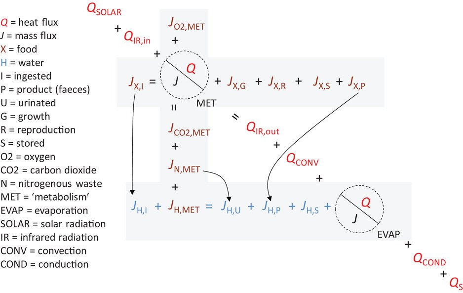 EcographyJourna's tweet photo. NicheMapR – an R package for biophysical modelling: the ectotherm and Dynamic Energy Budget models https://t.co/O4zYjvt6oW @StatsForBios @simplystats @NordicOikos https://t.co/5uakWyxzqv
