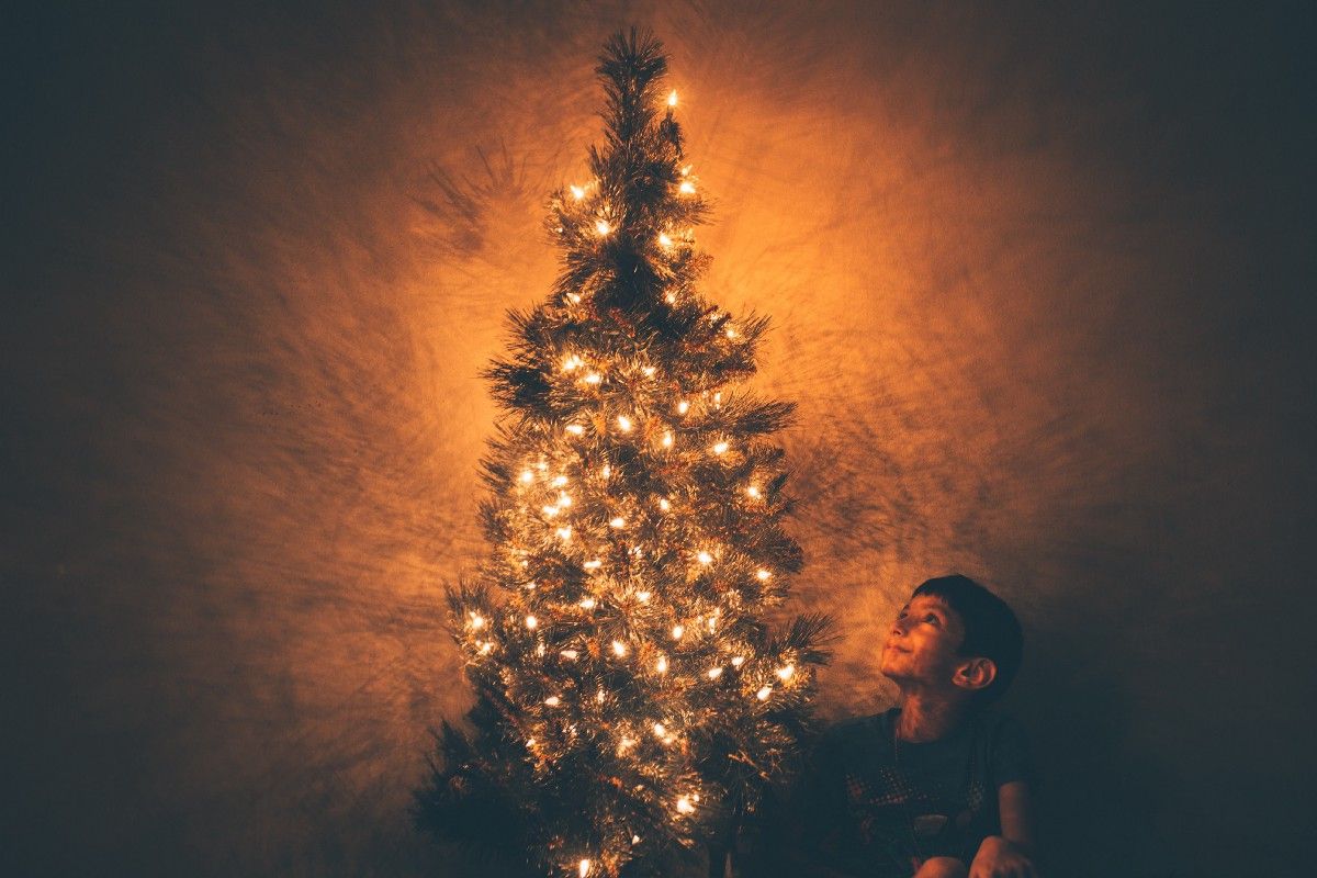 jbrandonlowry's tweet photo. The boy’s face fell. “Dad, Jimmy Doran told me Santa isn’t real.”

That little shit. “Jimmy Doran is a butthead. Don’t you worry about him. Why don’t you go brush up before bed and let me talk to Mom, okay?

If Only In My Dreams
#Xmas #horror #flashfiction
https://t.co/ybxNDtQnSO https://t.co/j7DHOBrMAu
