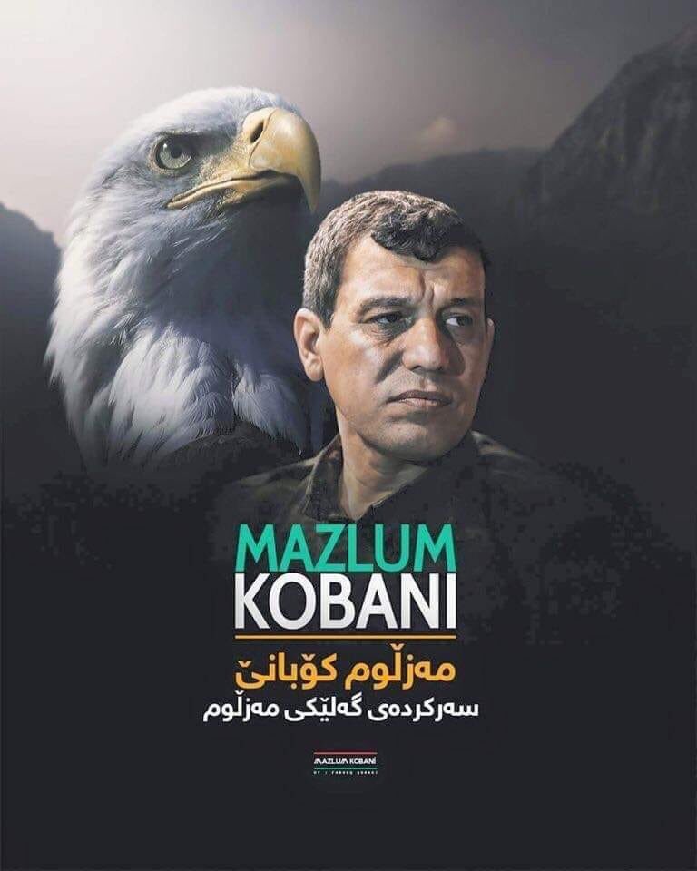 من فيدا كارتم