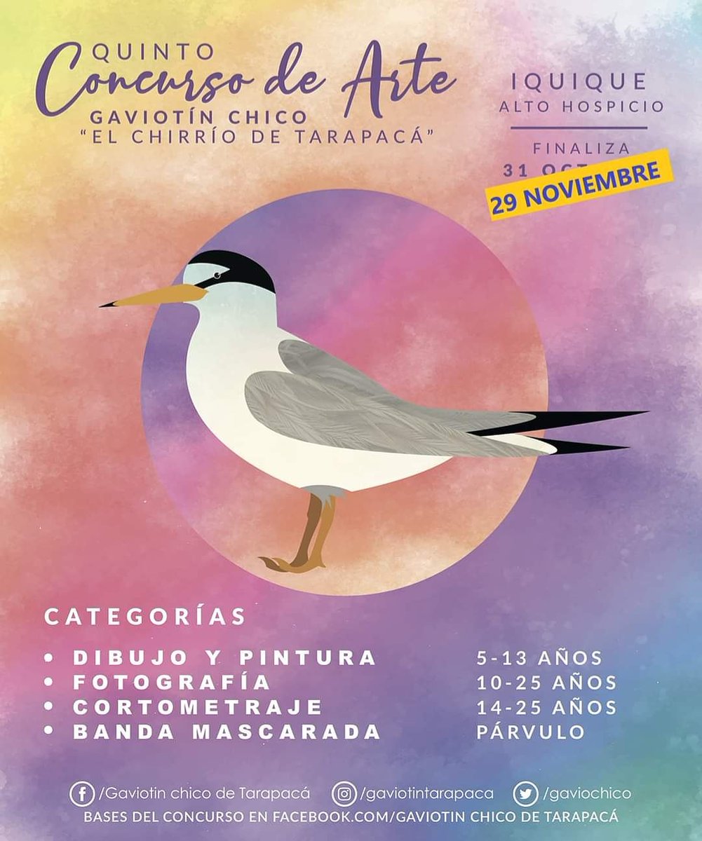 gaviochico's tweet photo. 🔲🔜Atentos!!! Nuevo plazo para que participes de nuestros concursos!!!
🔲🔜Debido a la contingencia social a nivel nacional, tenemos nuevas fechas para las actividades que se están desarrollando en beneficio de nuestro Gaviotín Chico. 
🔲🔜 Ampliamos hasta este 29 de noviembre https://t.co/xxGeqXwLsm