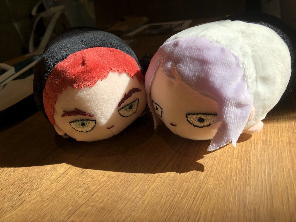 皆さんの手助けでプロントさんにお伺いできました!そして、想像してたよりも空いてて平日だったからか?すごく居心地が良くて根づきかけてました。思いがけない海外の方とのぬい交流があったりウェーイと、化石森さんの社長とその方の霊幻ぬいがであった…。そう言う一期一会の出会いもなんかよかった