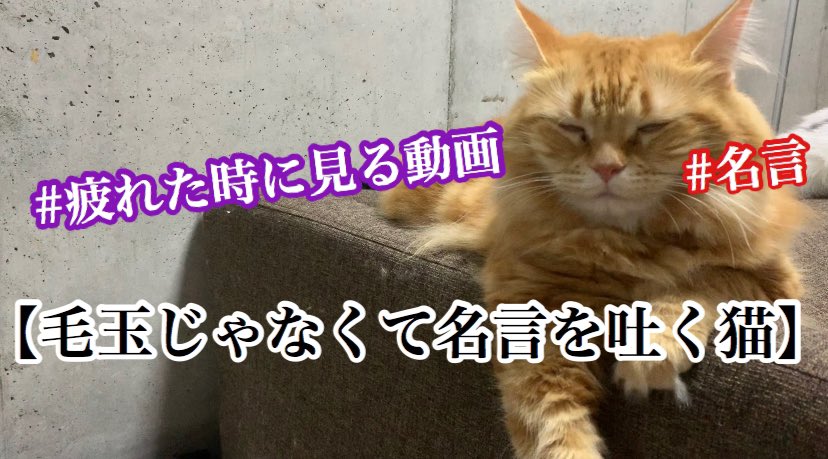 疲れた時に Twitter Search Twitter