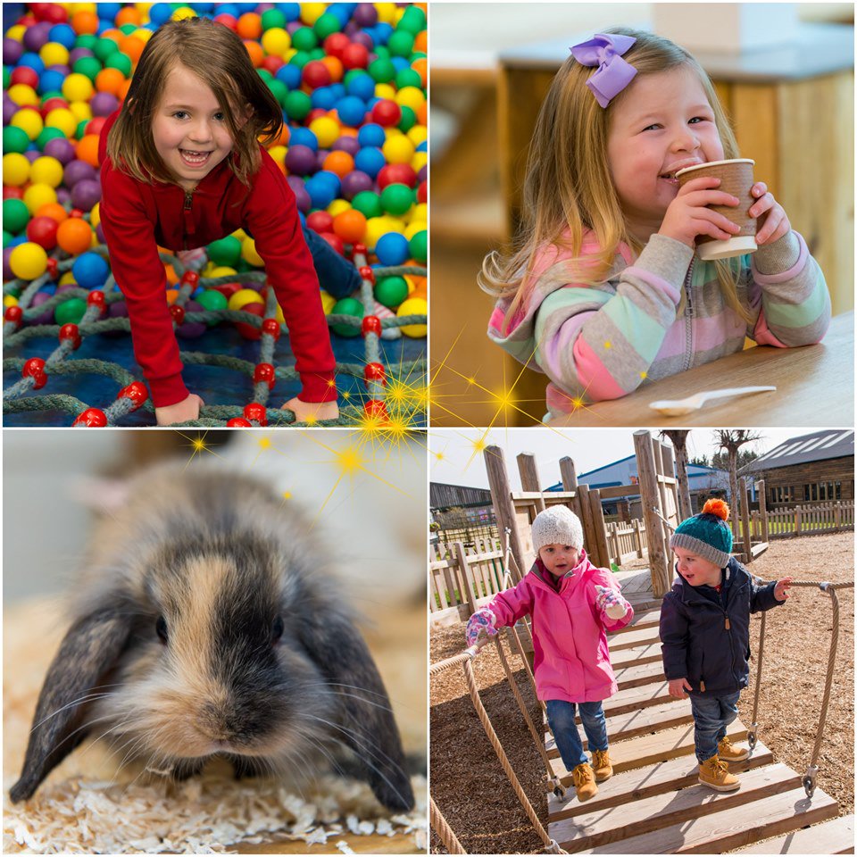 Mead Open Farm tweet media