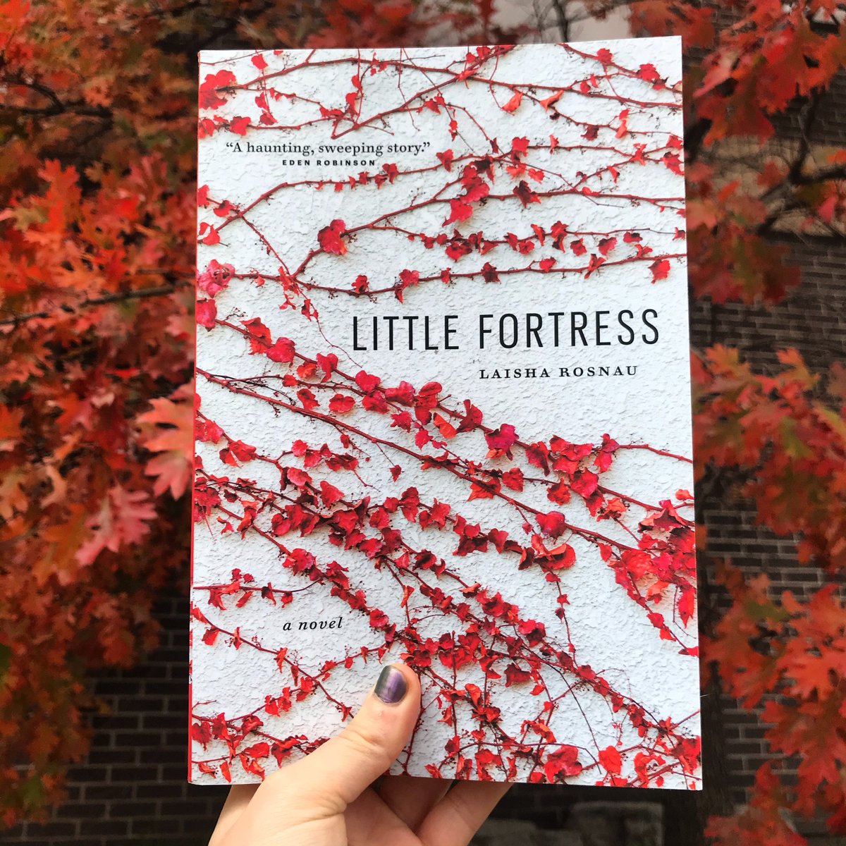 Join us for a reading on Friday, November 8 at 6PM to celebrate the release of B.C author @LaishaRosnau’s newest book out with @wolsakandwynn , Little Fortress! Featuring readings with @lisadenikolits and @cfischerguy. All are welcome, and free to attend. Books will be for sale!