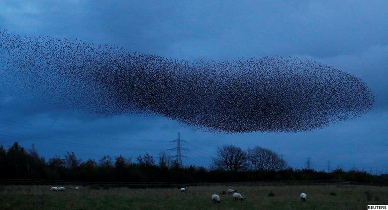 bbcweather tweet picture