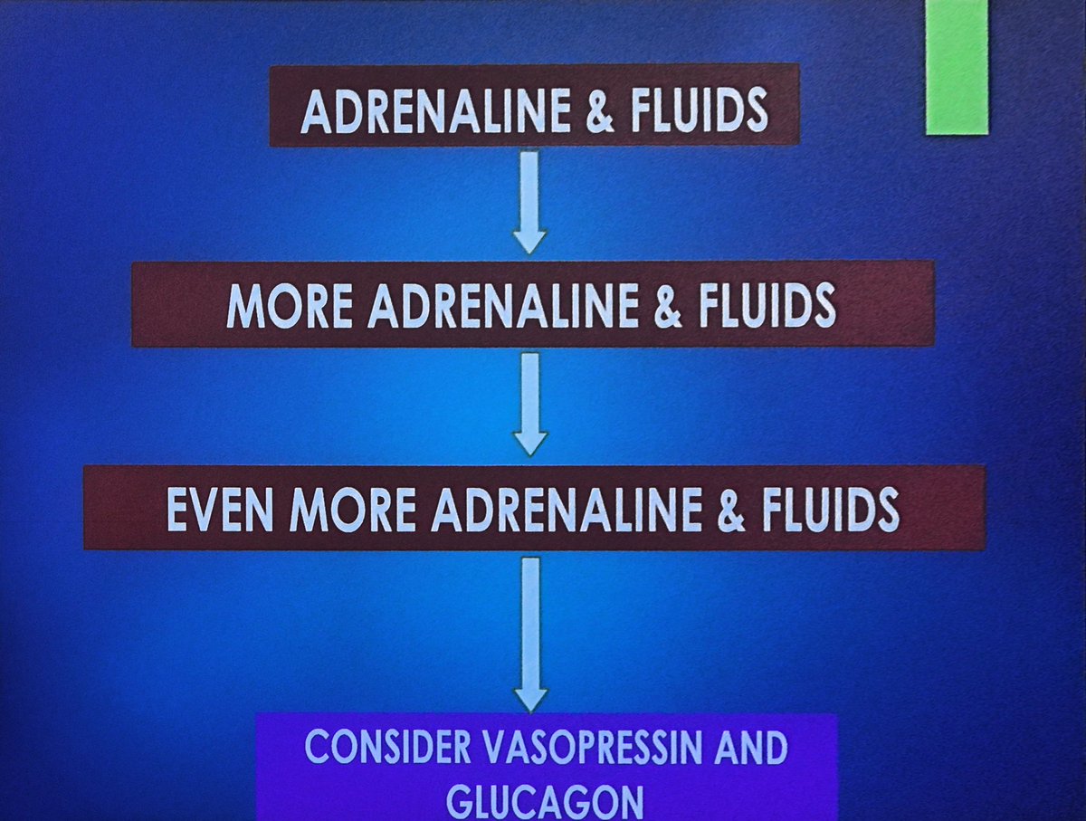noolslucas's tweet photo. Treating anaphylaxis in pregnancy - it’s all about fluids and adrenaline...@LouiseSavic #oaa3dc2019 #3dc19 https://t.co/gs9rLRFNJ6