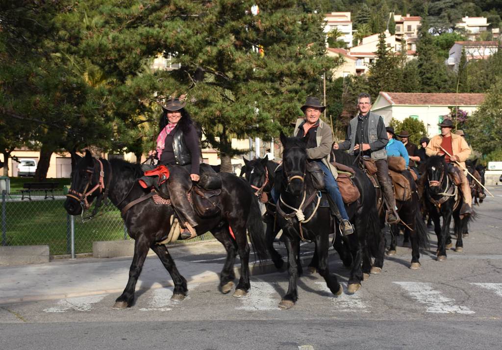 mairieamelie's tweet photo. Vendredi 8 novembre
■ #TRANSHUMANCE DES #MERENS ■
Avenue du Vallespir – Entre 9H30 et 10H30
Chaque année, ses chevaux semi-sauvages se lancent dans une transhumance au cœur des Pyrénées.
Les chevaux passeront en centre ville pour le plus grand bonheur des petits et grands ! https://t.co/VmxAkQNhyu