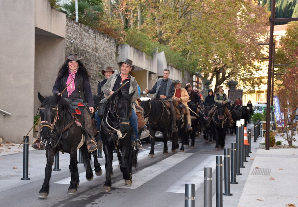 mairieamelie's tweet photo. Vendredi 8 novembre
■ #TRANSHUMANCE DES #MERENS ■
Avenue du Vallespir – Entre 9H30 et 10H30
Chaque année, ses chevaux semi-sauvages se lancent dans une transhumance au cœur des Pyrénées.
Les chevaux passeront en centre ville pour le plus grand bonheur des petits et grands ! https://t.co/VmxAkQNhyu