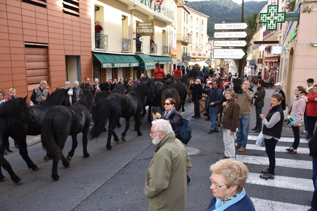 mairieamelie's tweet photo. Vendredi 8 novembre
■ #TRANSHUMANCE DES #MERENS ■
Avenue du Vallespir – Entre 9H30 et 10H30
Chaque année, ses chevaux semi-sauvages se lancent dans une transhumance au cœur des Pyrénées.
Les chevaux passeront en centre ville pour le plus grand bonheur des petits et grands ! https://t.co/VmxAkQNhyu