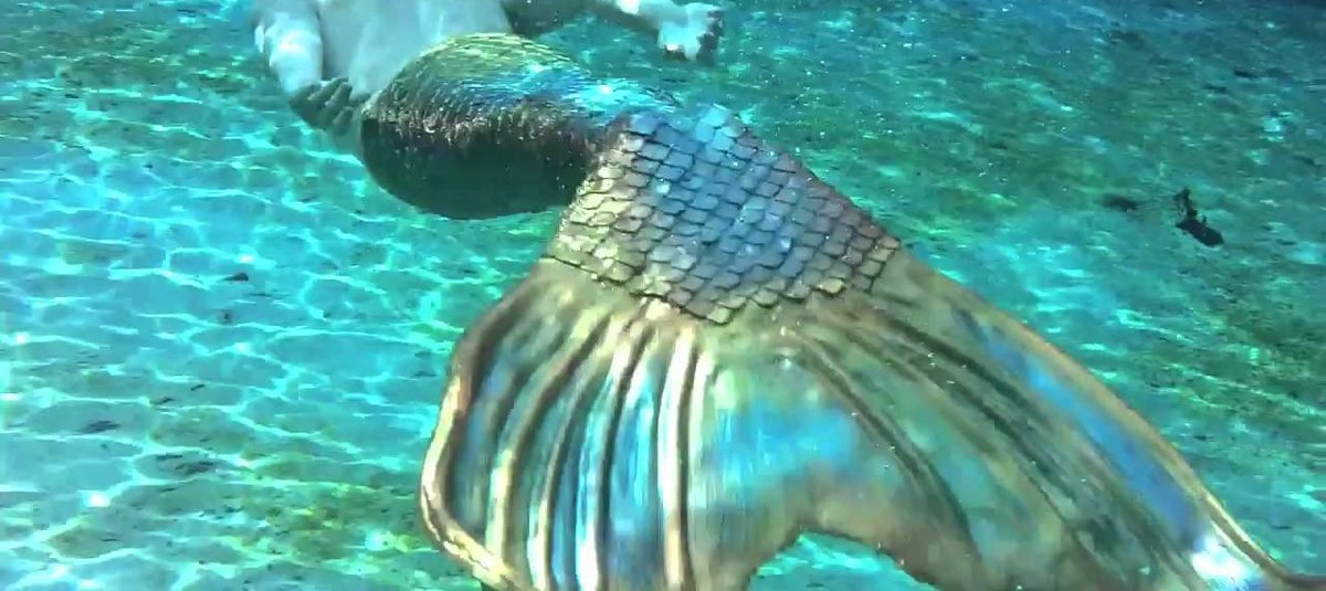 "Swim with me and admire my beautiful fish tail.." ~🧜‍♂️