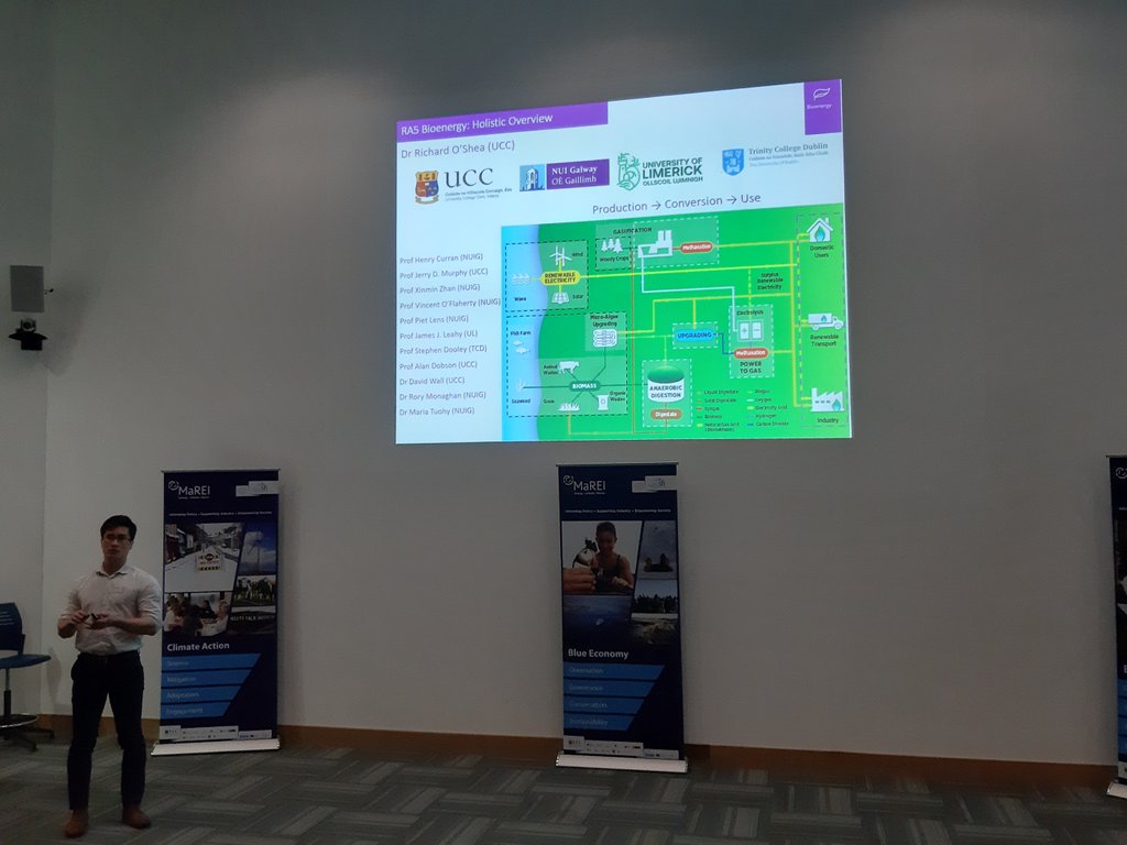 aoife long tweet media