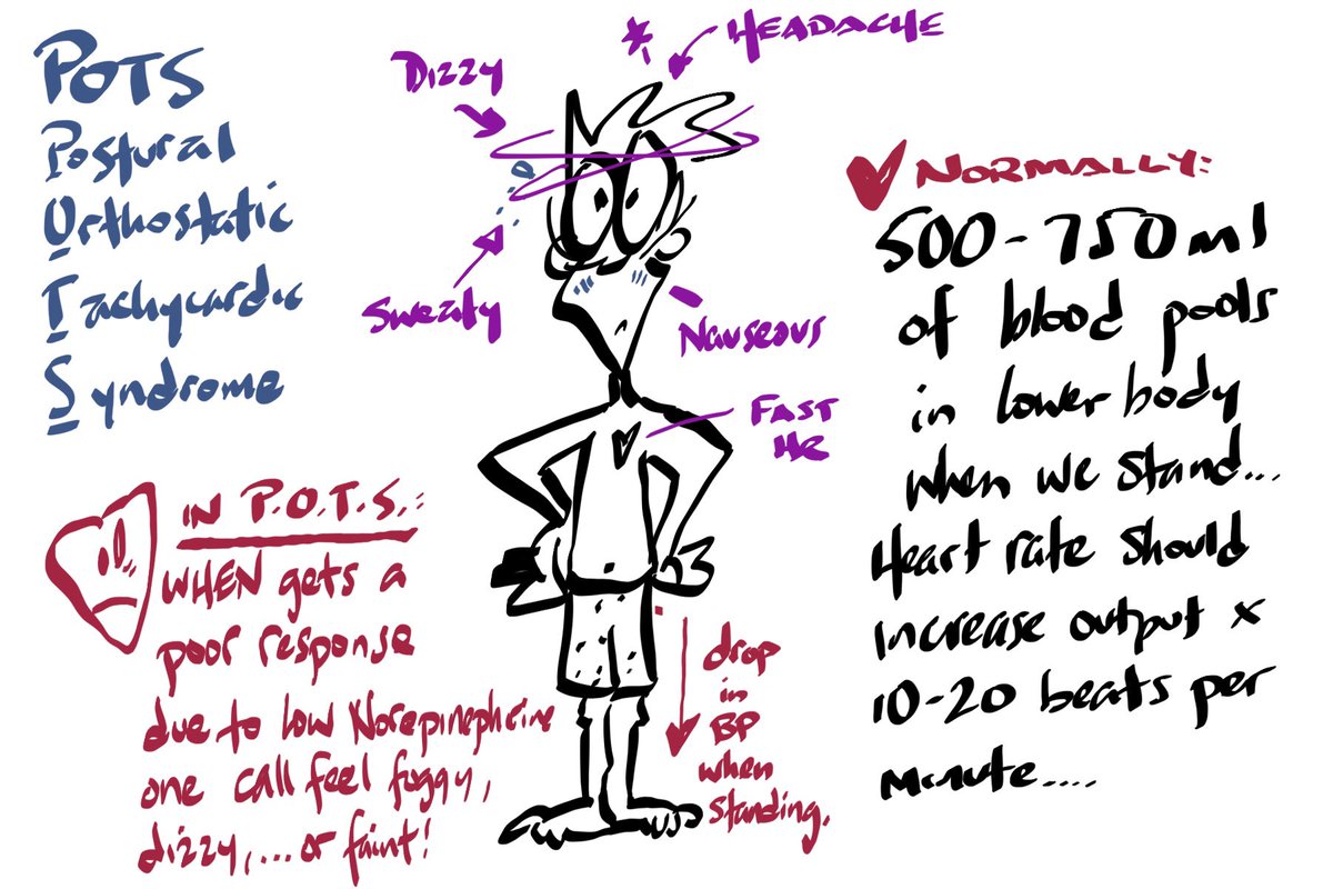 drmaypole's tweet photo. Infographic on #POTS syndrome. Postural orthostatic Tachycardia Syndrome per Dr #PeterRowe (#johnshopkins) at the #BKVarmaConference #CME #meded https://t.co/3Lh5C2xmjF