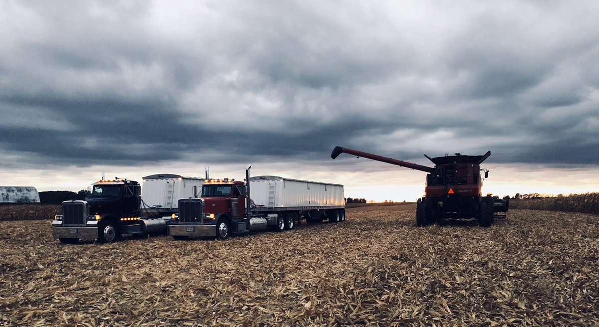 Nadine Miller tweet media