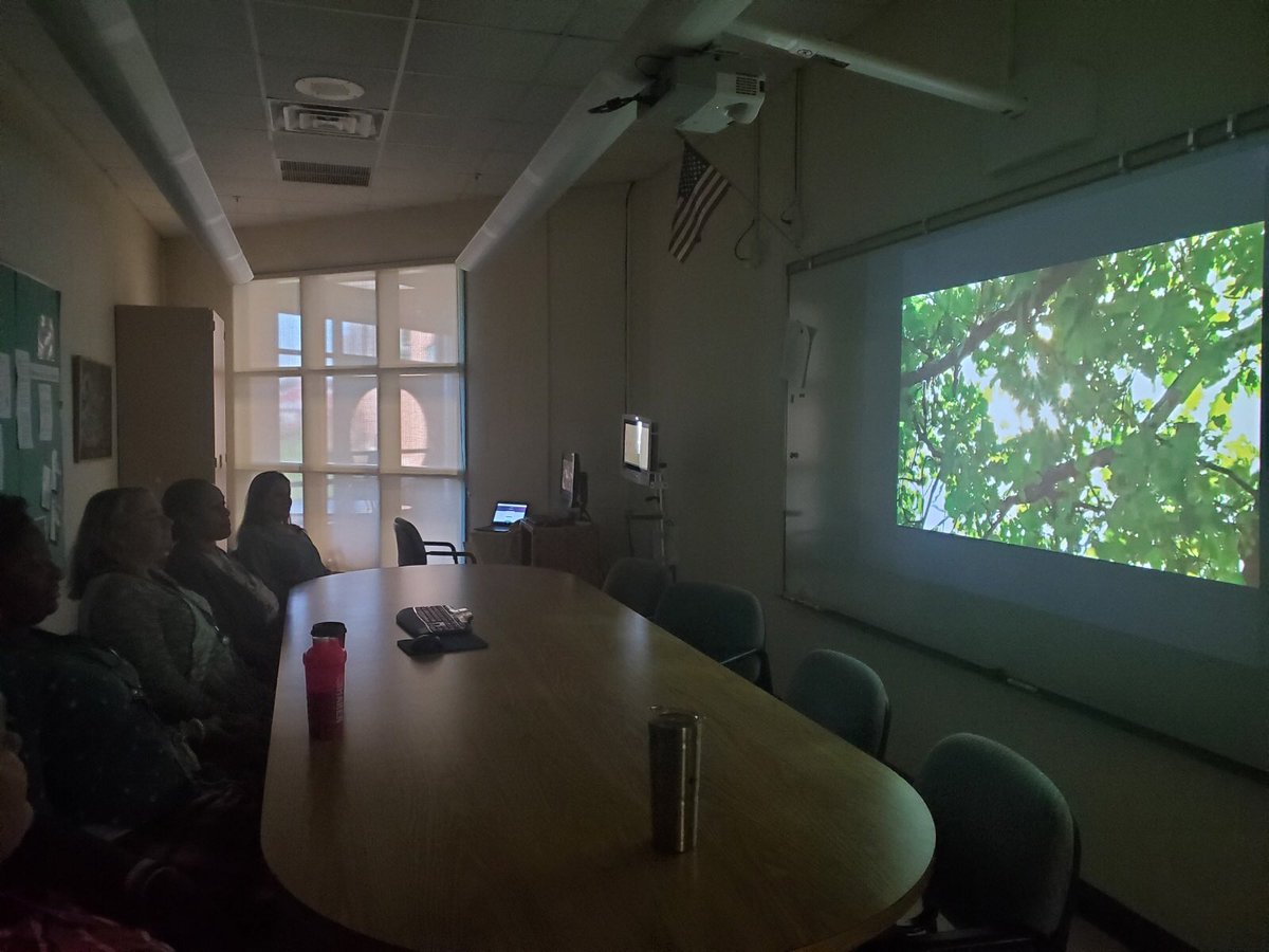 betsycallaghan4's tweet photo. Our first Wellness Wednesday @jmfeclc was a great way to reset before the day @LBpublicschools #SEL #WCMM #greenwavegreener @EDUtherapy2 https://t.co/Mu4Y68s07n