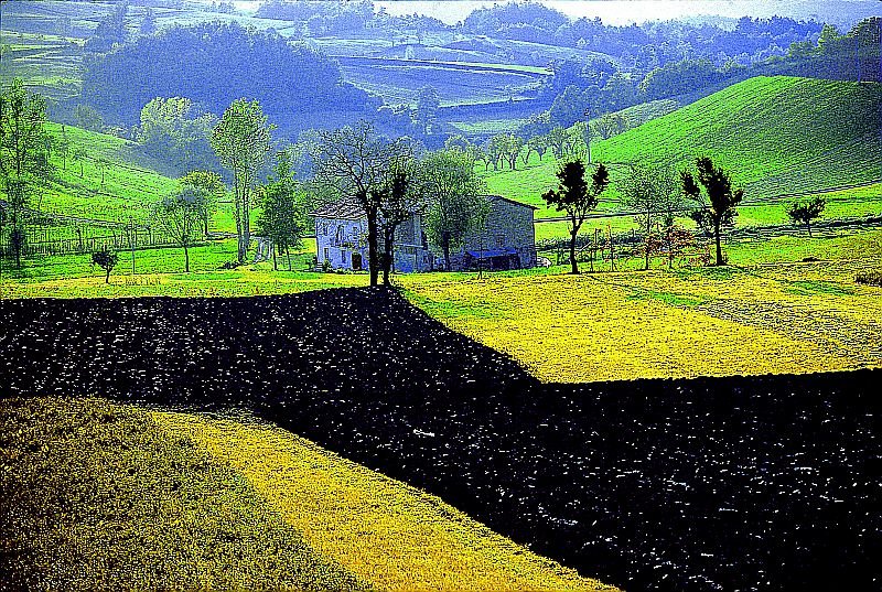 Nascono i DISTRETTI del #CIBO in Emilia-Romagna:  promozione dei prodotti di qualità regionali, #sicurezza alimentare, tutela del territorio e del paesaggio, lotta allo spreco alimentare e al cambiamento climatico #AGRICOLTURAER #ClimateChange  bit.ly/2qvLery