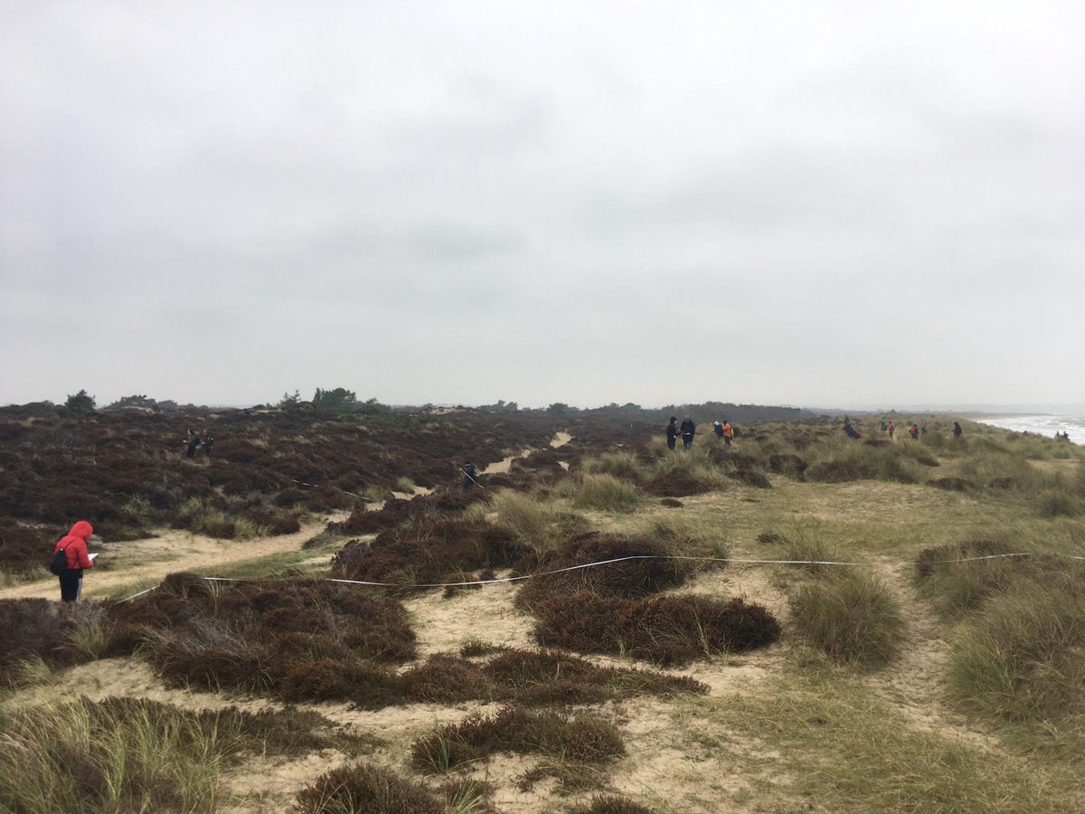 oxfordgeography's tweet photo. And here are some snaps from last week's field trip, when students braved the 'great' British weather to measure the dunes at Studland Bay! 📸 👍 https://t.co/HfkApxJ4Dp