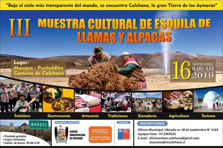sernatur_1's tweet photo. El próximo sábado 16 de noviembre, a partir de las 8:00 horas, se realizará la III Muestra Cultural de Esquila de Llamas y Alpacas, en las localidades de #Mauque y #Puchuldiza, ubicadas en la comuna de #Colchane. Música, gastronomía, tradiciones y mucho más. https://t.co/Tz7YZoHPN9