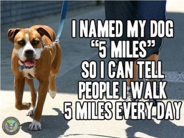 ContractorAcad's tweet image. Hows&apos; your #HumpDay going?! 😉🐕

#WellnessWednesday #WisdomWednesday