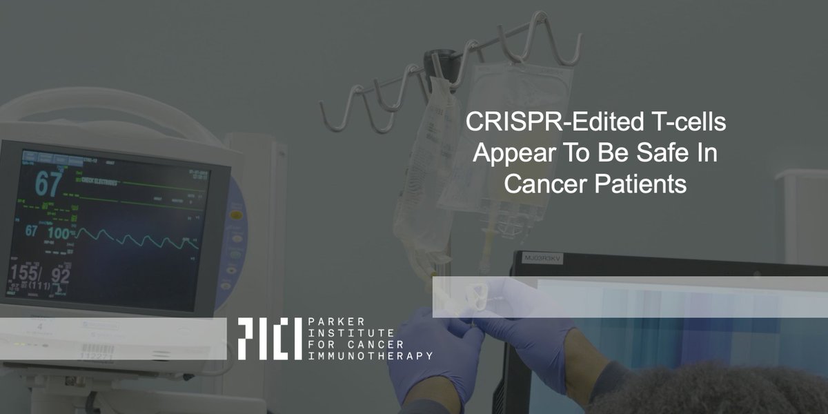 Parker Institute for Cancer Immunotherapy (@parkerici) on Twitter photo NEW RESEARCH: CRISPR-edited T-cells appear to be safe in cancer patients in this first-in-human U.S. clinical trial. From <a href="/PennCancer/">Penn Medicine - Abramson Cancer Center</a>, @Parkerici <a href="/TmunityTherap/">Tmunity Therapeutics</a> #cancerfearsPICI #silosshattered #ASH19 bit.ly/33len7D NEW RESEARCH: CRISPR-edited T-cells appear to be safe in cancer patients in this first-in-human U.S. clinical trial. From <a href="/PennCancer/">Penn Medicine - Abramson Cancer Center</a>, @Parkerici <a href="/TmunityTherap/">Tmunity Therapeutics</a> #cancerfearsPICI #silosshattered #ASH19 bit.ly/33len7D