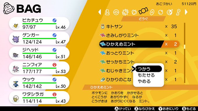 ポケモン剣盾 ミント の効果や入手場所について解説 ゲームのモノクロム