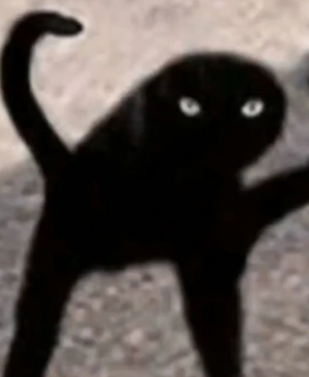УГАРНЫЙ черный кот