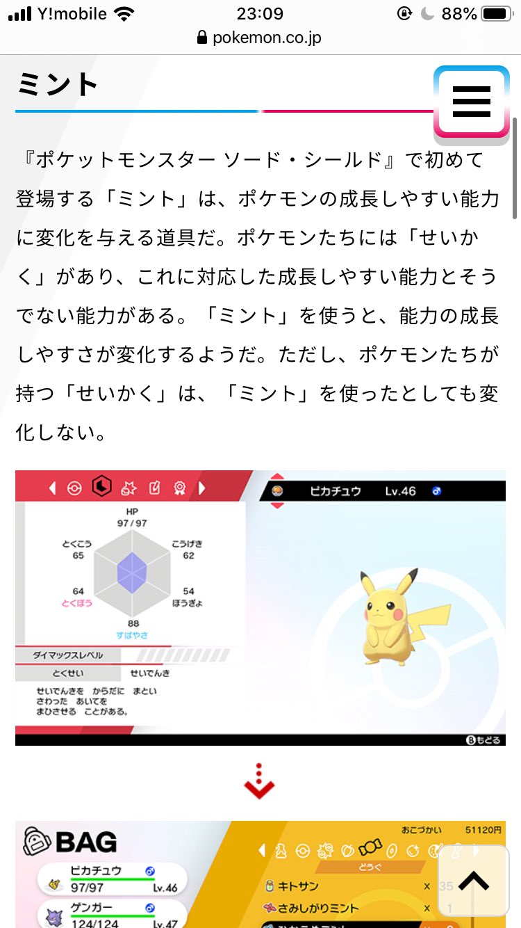 はにわトーン 新情報まとめ 性格補正は各性格毎のミントを使うことで変更可能 ドーピングアイテムだけで努力値振りが完結するように 種火のような経験値増加アイテムの追加 タマゴ技続投 T Co 1e9yxzbr4h Twitter