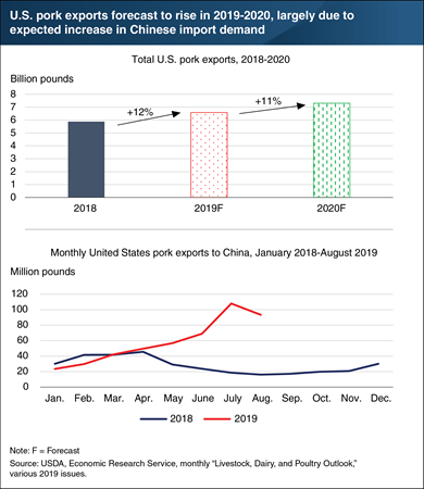 U.S. pork exports are forecast to rise in 2019 to 2020, largely due to an expected increase in Chinese import demand.