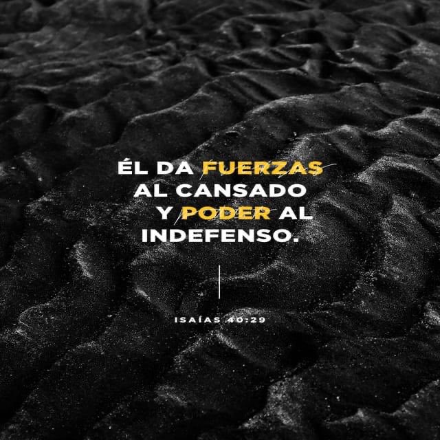 naharaimloz's tweet photo. Buenas tardes  #Noviembre #Tenerife #FelizMiercoles https://t.co/9abW3wo6wb