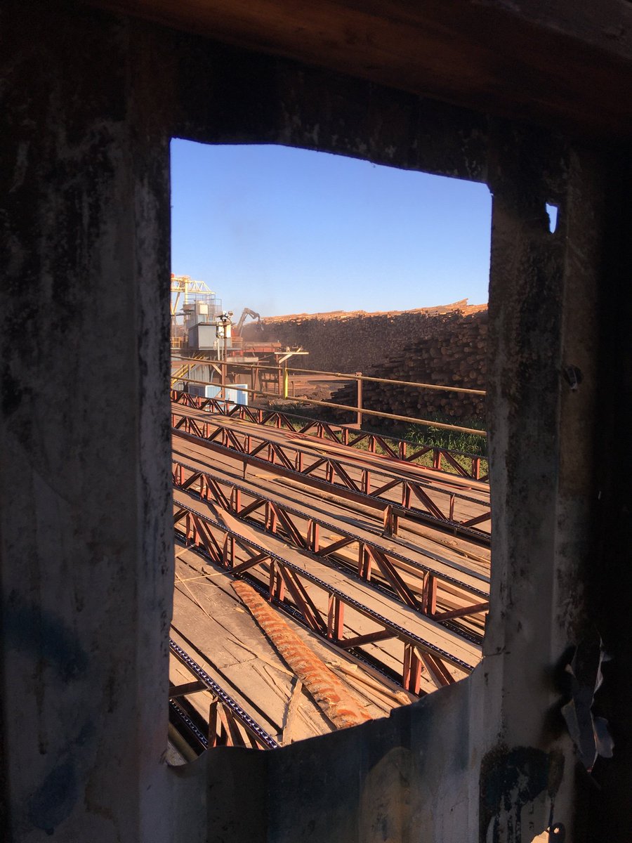 HGC_Designbuild's tweet image. Inspired by @gagilk73 and @HilaBeans22 visit with @SierraPacWindow and the commitment they’ve honored to pass on only the best possible product when it comes to providing state-of-the-art windows and doors. We can’t wait to get our windows to install in our #francesproject!