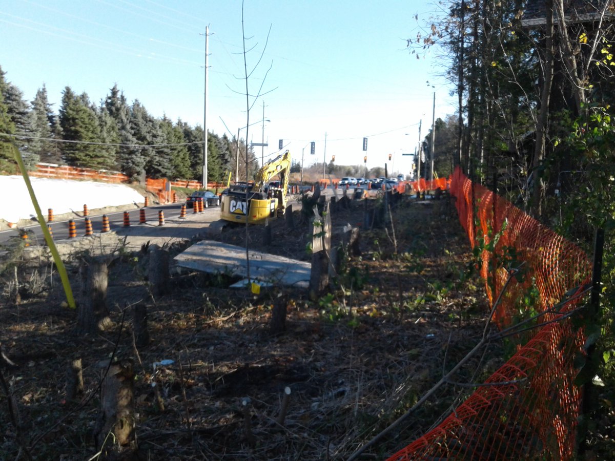 CCKTCA's tweet photo. New tree stumps https://t.co/VgCIka16g0