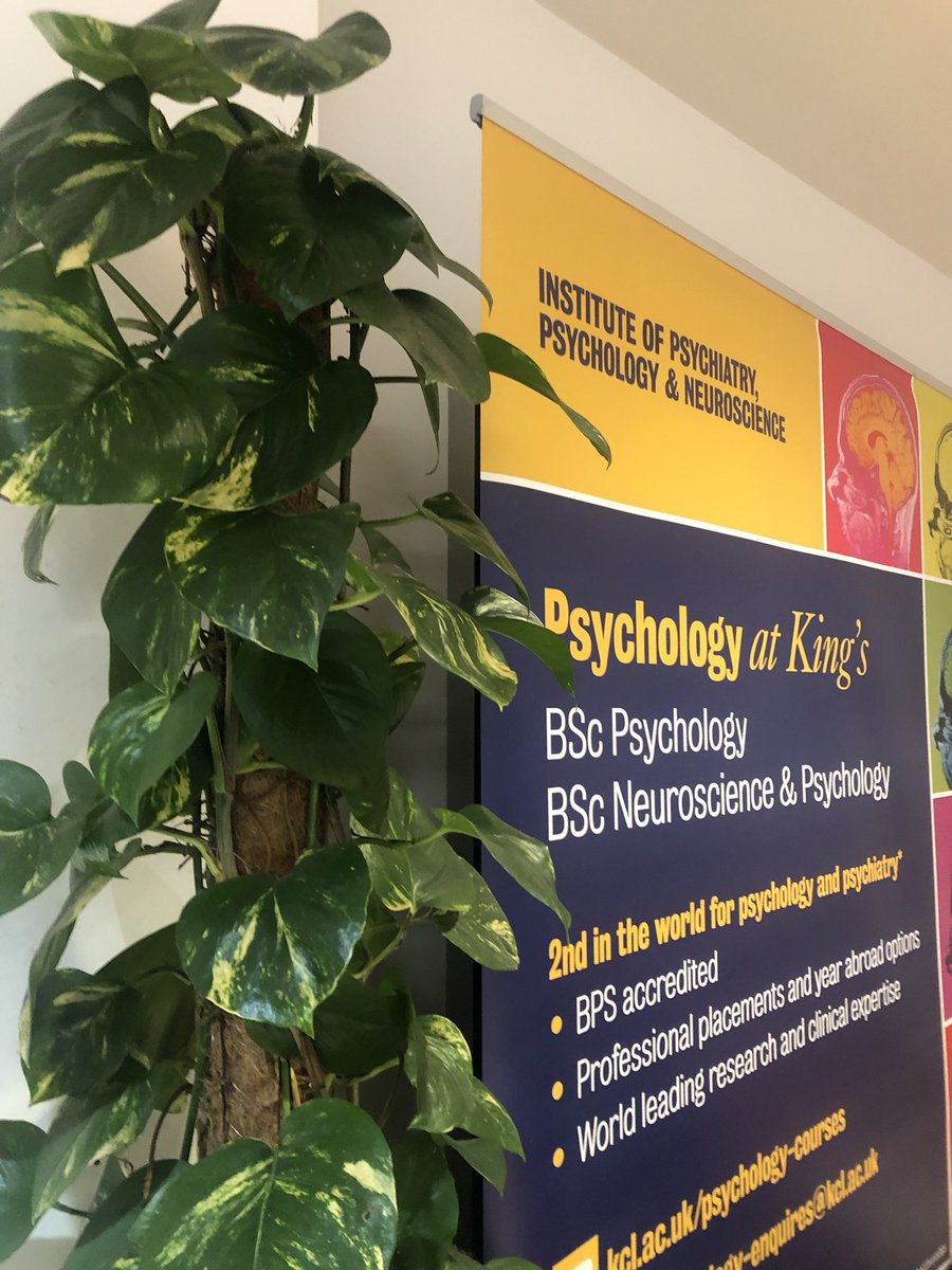 sburke5's tweet photo. Uni prep time! Today shalom is participating in a taster day for the Neuroscience and Psychology degree at the wonderful Kings College! @tbap16_19 https://t.co/XgQQA7wpnb