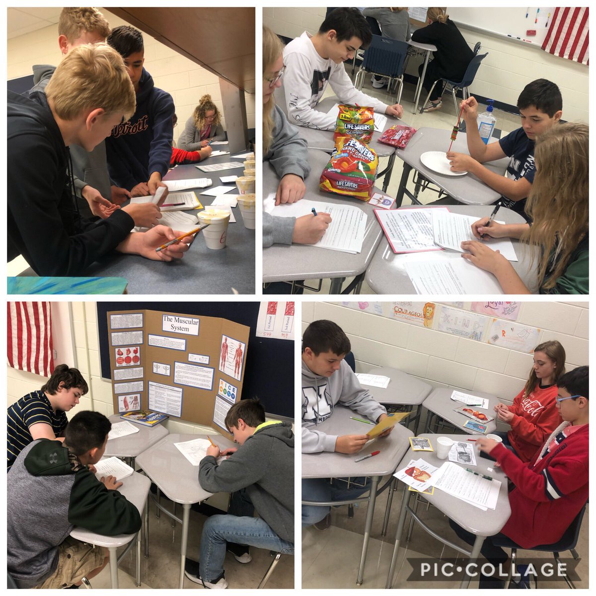 Mrs_Freels's tweet photo. We had a good week of Body System Stations! Lots of information and some hands on activities. #4reels #allinnapoleon https://t.co/lnjVNo5r1r