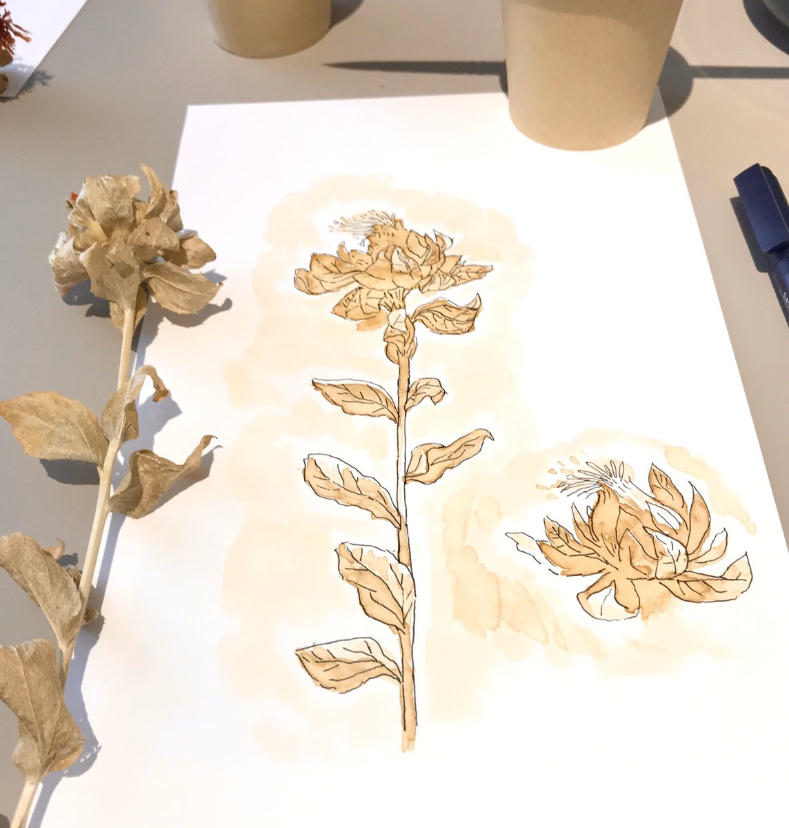 EHillustrator's tweet photo. My first espresso painting...

Had a lovely relaxed morning @BotanicalAtelie illustration workshop, lovely to meet Sarah &amp; would definitely recommend booking onto a workshop or popping into her beautiful shop if you’re in the #Falmouth area 
#illustrationworkshop #espresso https://t.co/lS4aSJdCmo