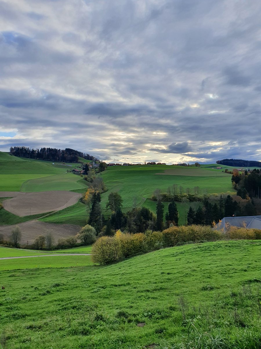 dari0x's tweet photo. Noch nicht so schnell wie im Emmental, wo wir bereits 5G haben, aber auch ohne 5G lassen wir uns nicht lumpen. Das beste Netz der Schweiz. @Swisscom_de #LTE #bestnet https://t.co/5tEj5TyPAl