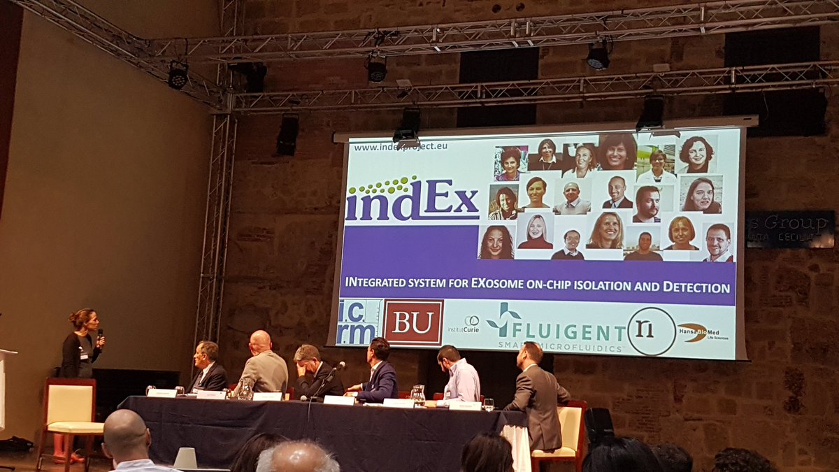 IndexProject's tweet photo. #h2020 #FETOPEN #INDEXproject pitch presentation to the industrial Panel Members https://t.co/ytFQY5K0Ji