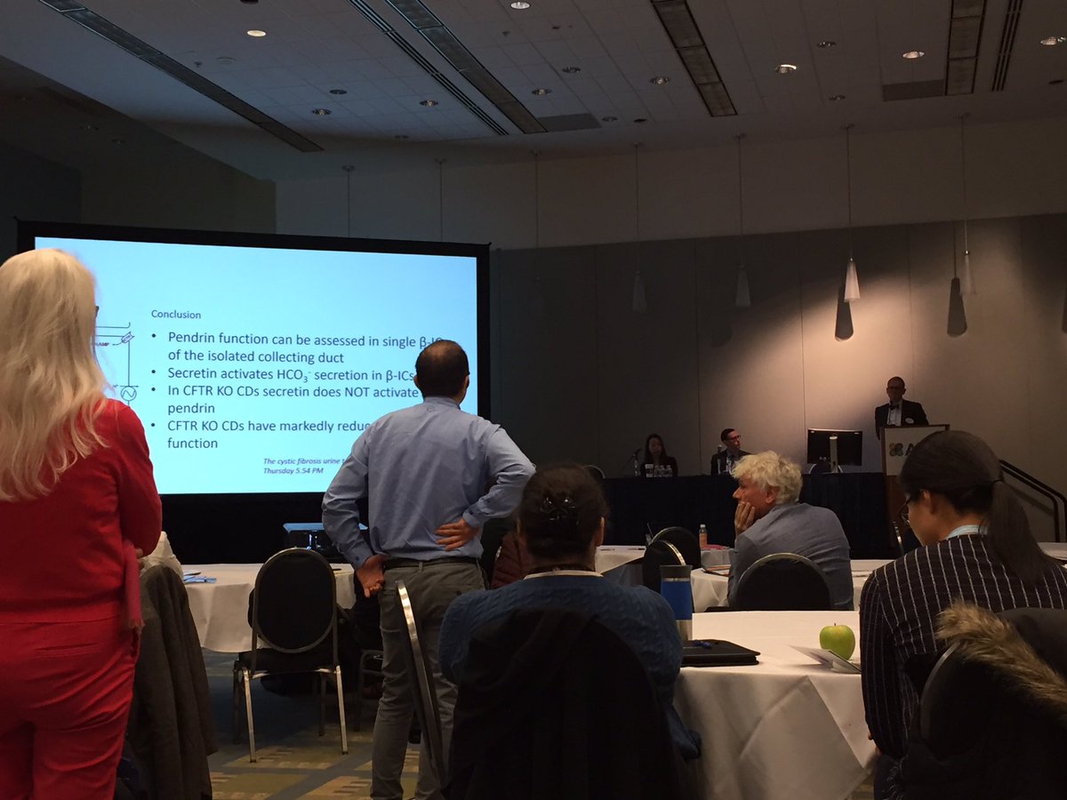 JPBertok's tweet photo. Very nice experimental results from @AarhusUni on #cftr dependant urine #alkalization by #secretin @earlykidney #kidneyWk https://t.co/TMnxnUFpGR