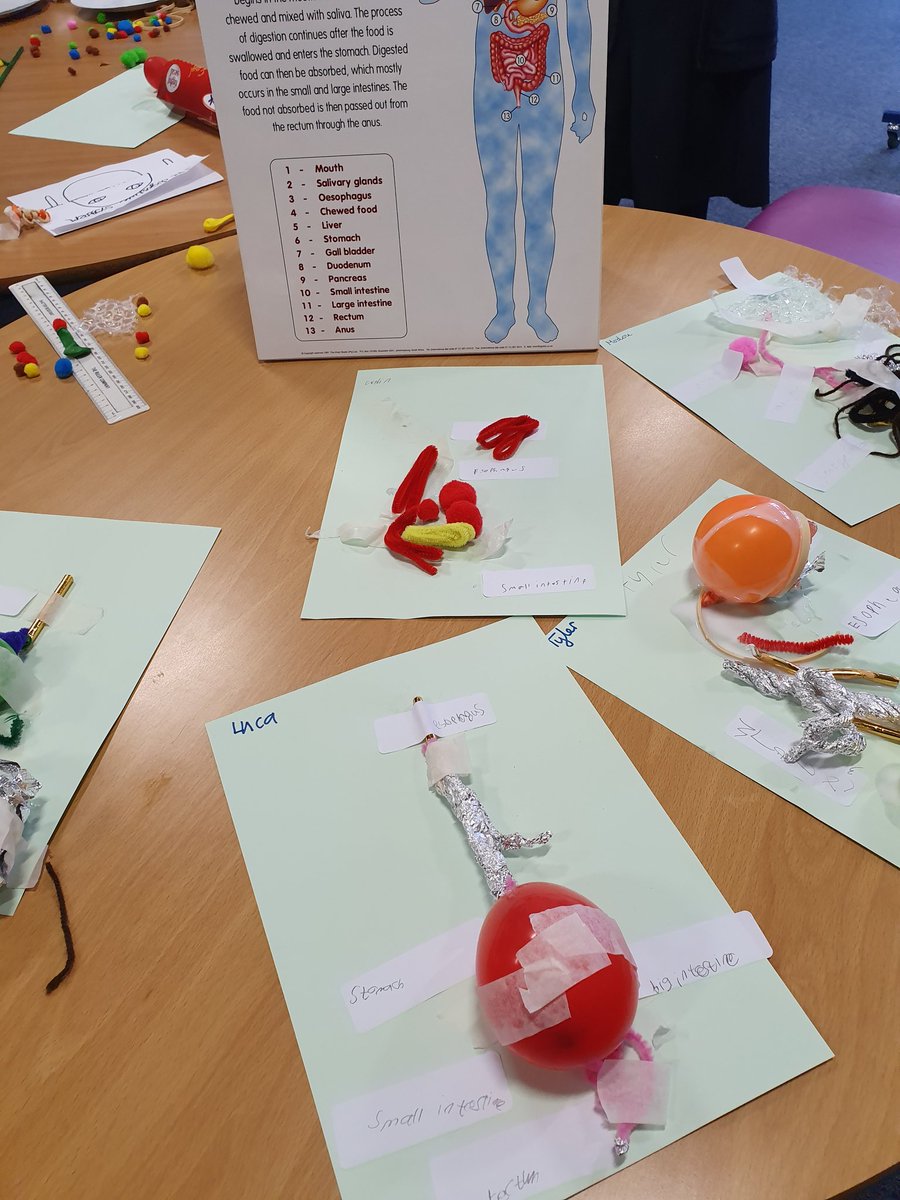 Monnow_Primary's tweet image. Creating our own Digestive System in Dosbarth Moonstone
#ourbodies
#biologyrocks