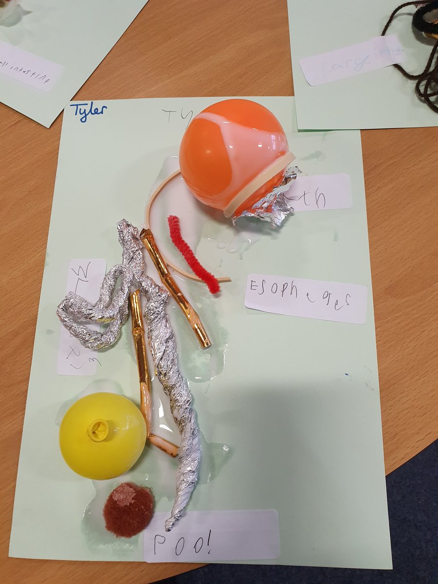 Monnow_Primary's tweet image. Creating our own Digestive System in Dosbarth Moonstone
#ourbodies
#biologyrocks