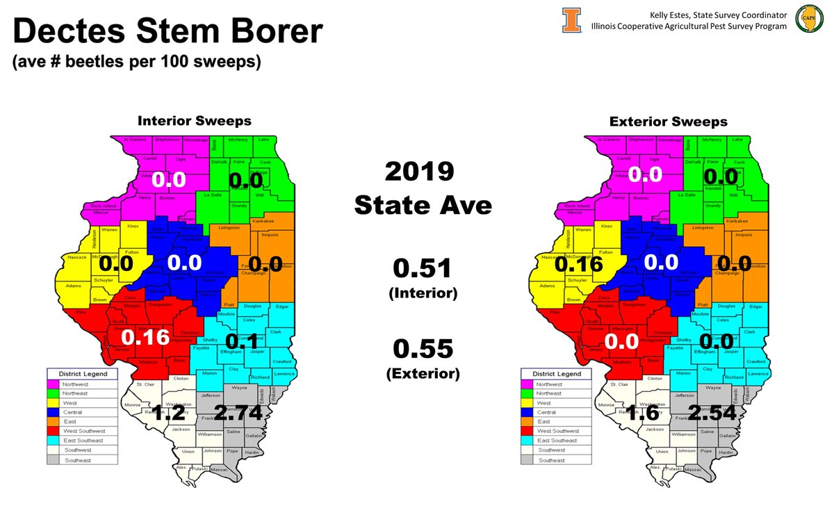Kelly Estes tweet media